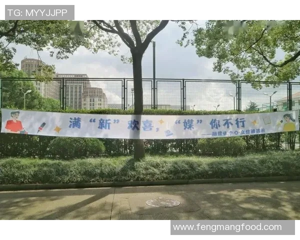 张帆：在风雨中扬帆起航，探索人生的无限可能与梦想的实现之路