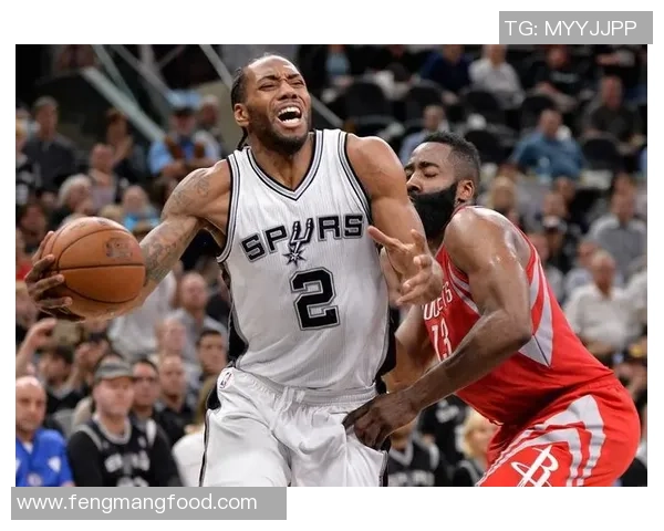 扎克拉文的飞翔时刻NBA全明星的荣耀与挑战之路