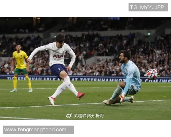 热刺与布莱顿精彩对决回顾赛季关键时刻录像分析与亮点集锦